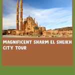 MAGNIFICENT SHARM EL SHEIKH CITY TOUR