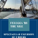 SPECTACULAR EXCURSION OF 2 HOURS IN FELUCCA BY THE NILE
