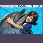 WONDERFUL DOLPHIN HOUSE