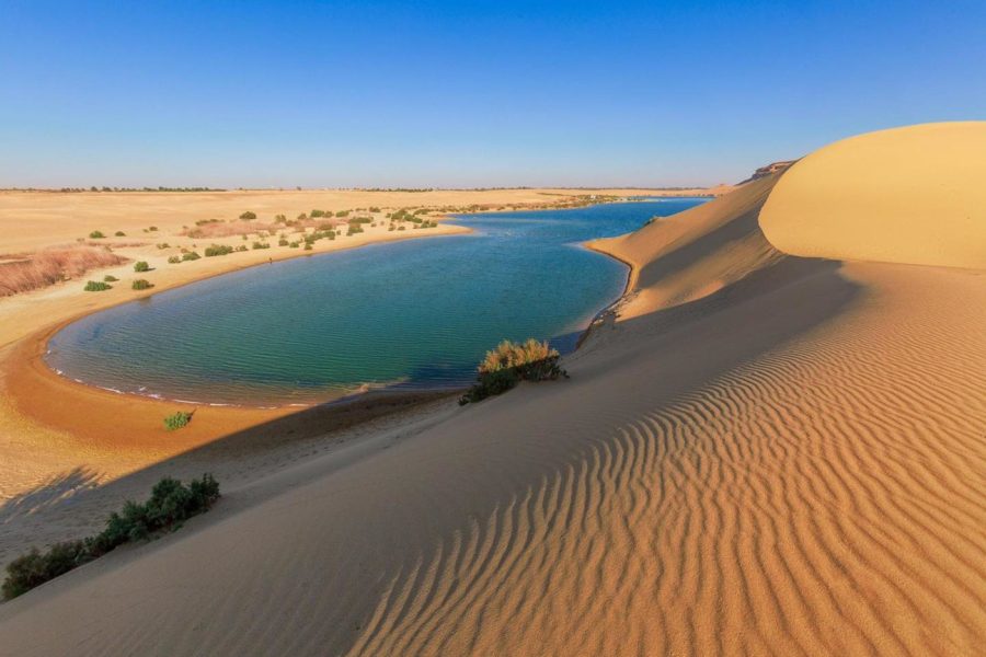 A serene panoramic view of The Magic Lake in Fayoum Oasis, showing its shimmering blue waters surrounded by golden desert dunes under a clear sky