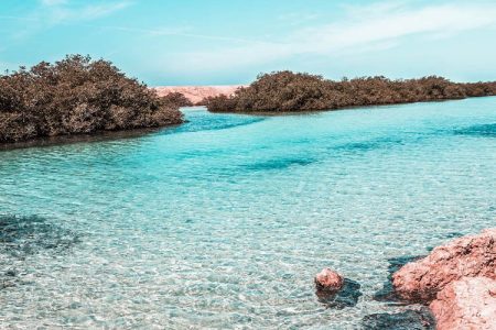 NABQ PROTECTED AREA 1 DAY TOUR