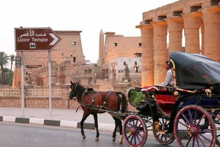 Upper Egypt, Luxor and Aswan