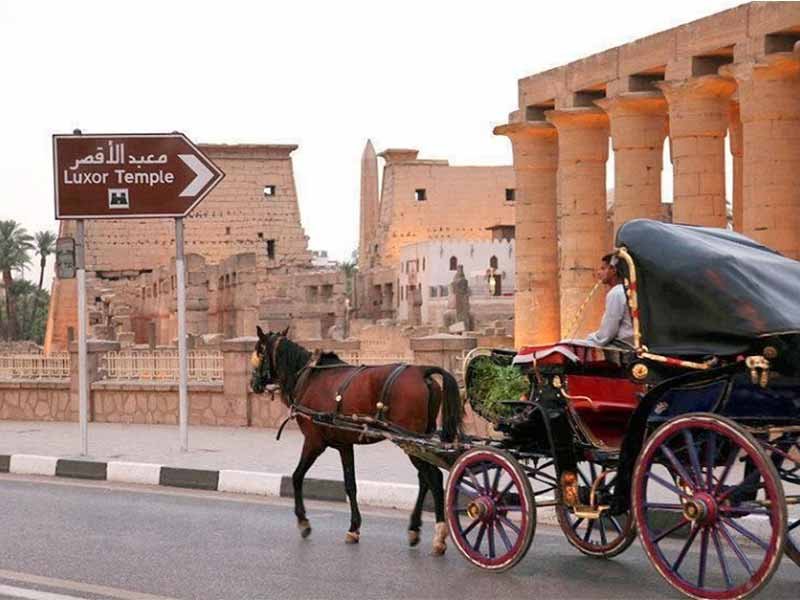 Upper Egypt, Luxor and Aswan, the Red Sea 13 Amazing Days