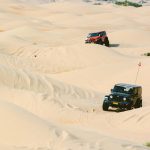 SAFARI IN JEEP