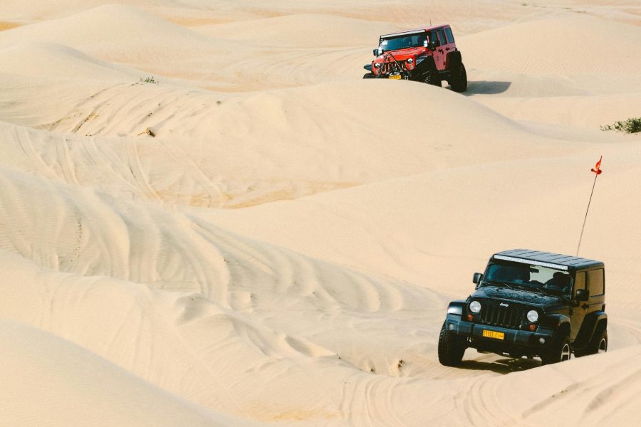 SAFARI IN JEEP