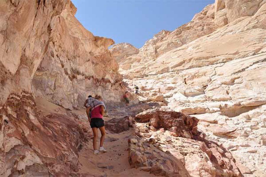 People exploring the narrow, twisting slots of the Colored Canyon in Sinai, with light filtering down from above, emphasizing the adventurous and immersive experience
