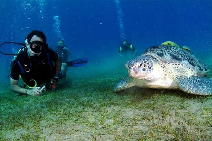 PARADISE ISLAND WONDERFUL FULL-DAY SNORKELING FROM HURGHADA