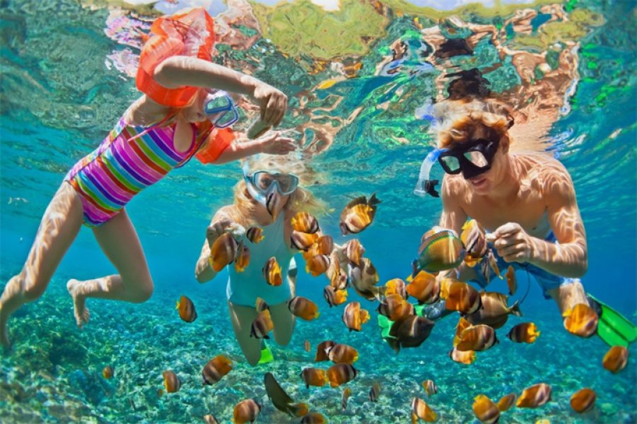 People snorkeling in the crystal-clear turquoise waters of the Red Sea in Hurghada, with vibrant coral reefs and colorful fish clearly visible beneath them