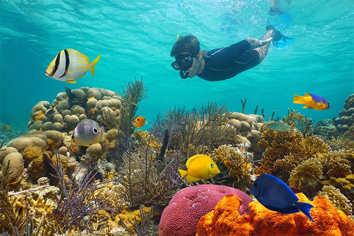 PARADISE ISLAND WONDERFUL FULL-DAY SNORKELING FROM HURGHADA