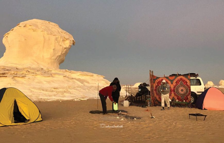 croisière sur le Nil ,14 jours en Égypte: Le Caire, Désert blanc, Louxor