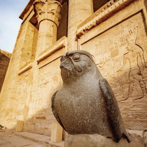 Une statue en pierre sombre d'un faucon, représentant le dieu Horus, est placée au premier plan à droite. Derrière la statue se trouve l'entrée monumentale du temple d'Edfou, avec de grandes colonnes ornées et des murs gravés de hiéroglyphes. La scène est éclairée par la lumière naturelle du jour.